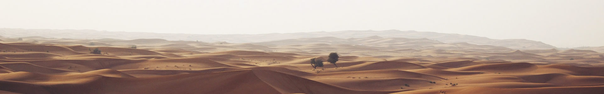 бģͣݸ޹˾